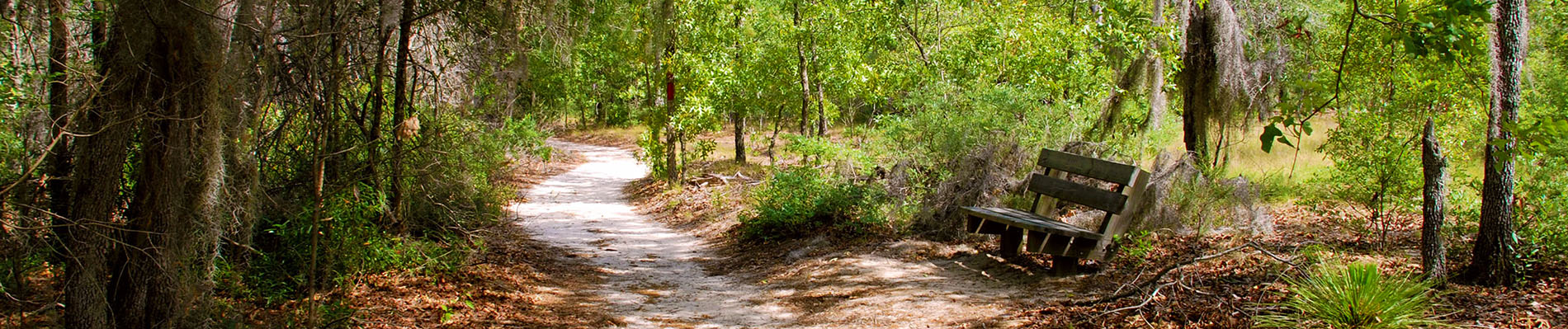 Little Ocmulgee State Park and Lodge
