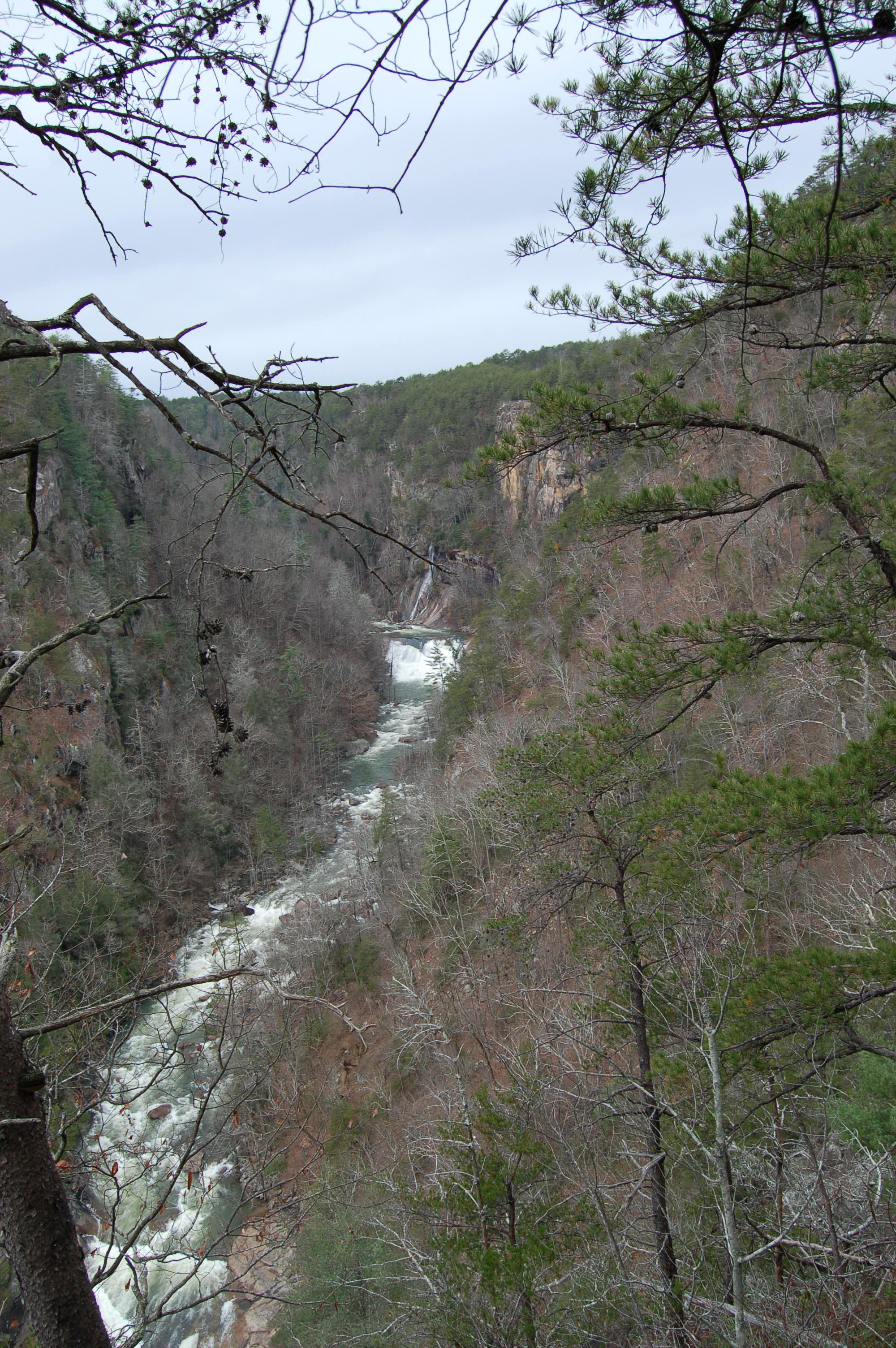 North Rim View