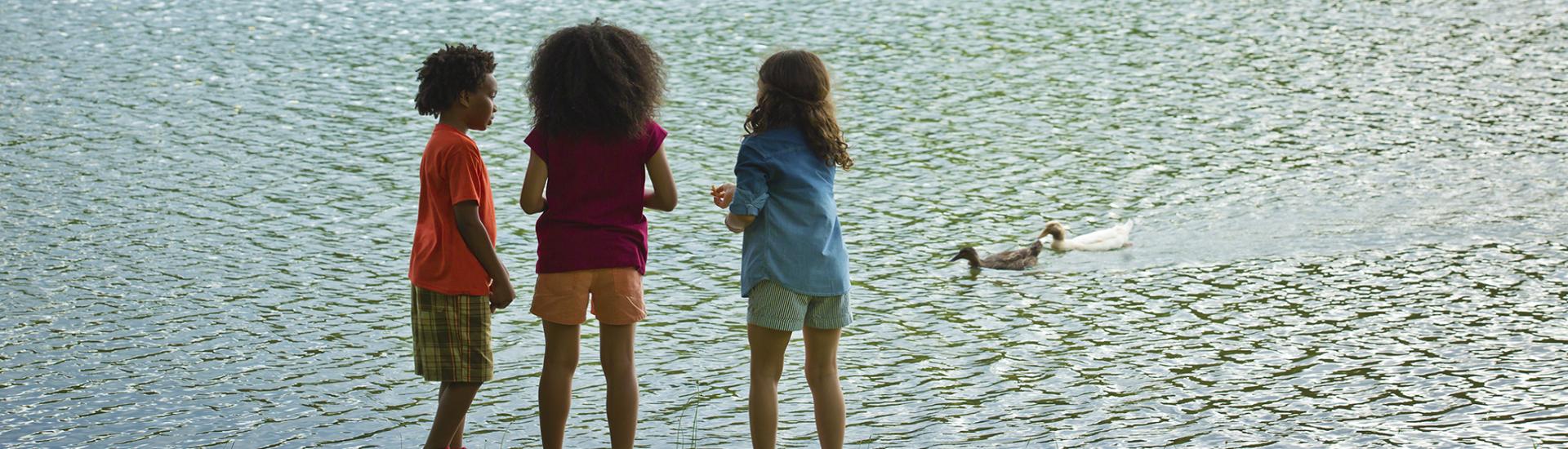 Duck Feeding at James H. Floyd