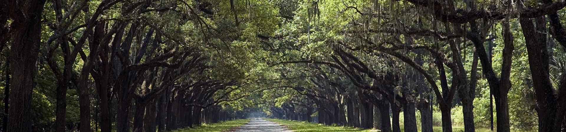Wormsloe