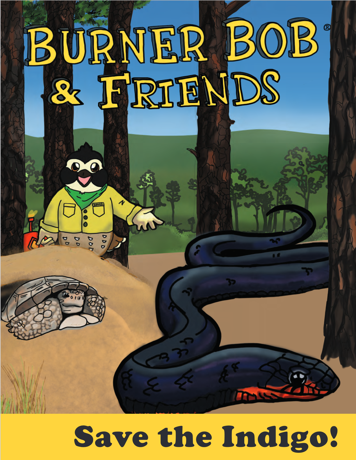 Indigo Snake Coloring Book