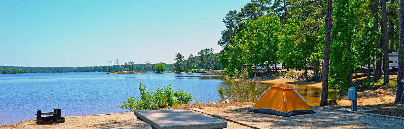 Mistletoe State Park